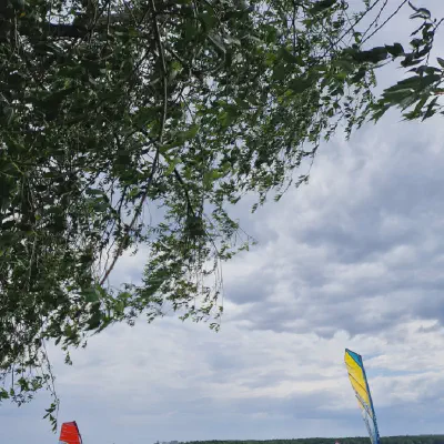 Galeriebild: 2024-06-30_SFB5.webp