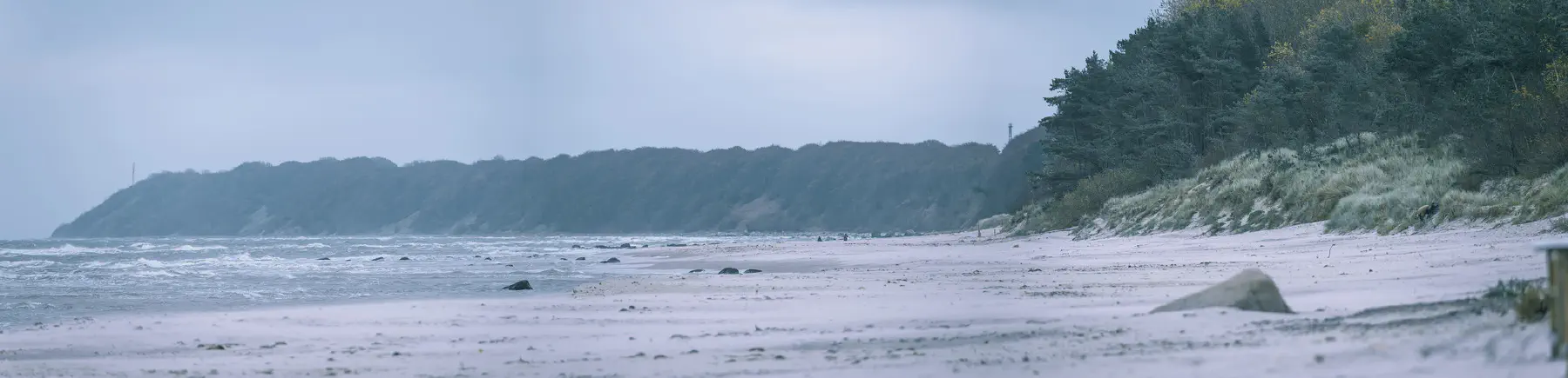 Galeriebild: 2024-11-01_Kreptitz_04.webp