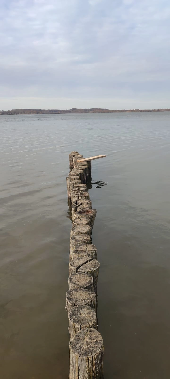 Könnte das reichen? Die Buhnen an der Talsperre Bautzen