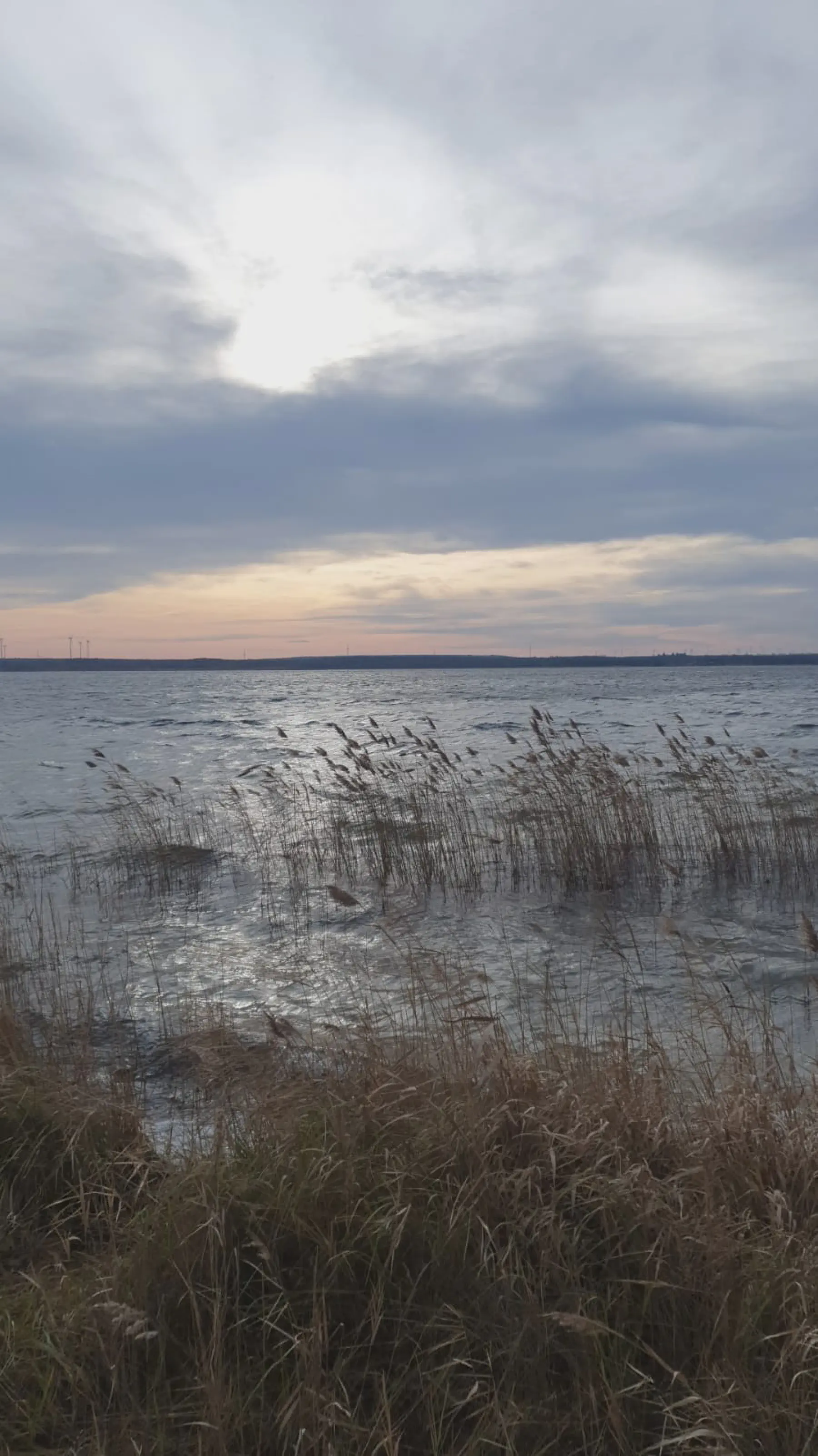 Galeriebild: 2025-01-01_Partwitzer_Donath.webp