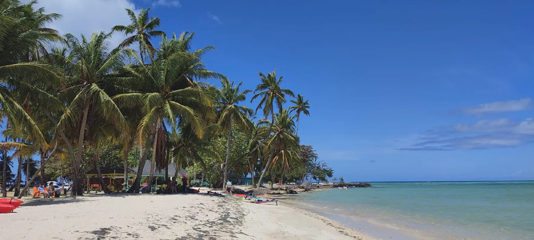 Galeriebild: 2025-03-12_tobago.webp