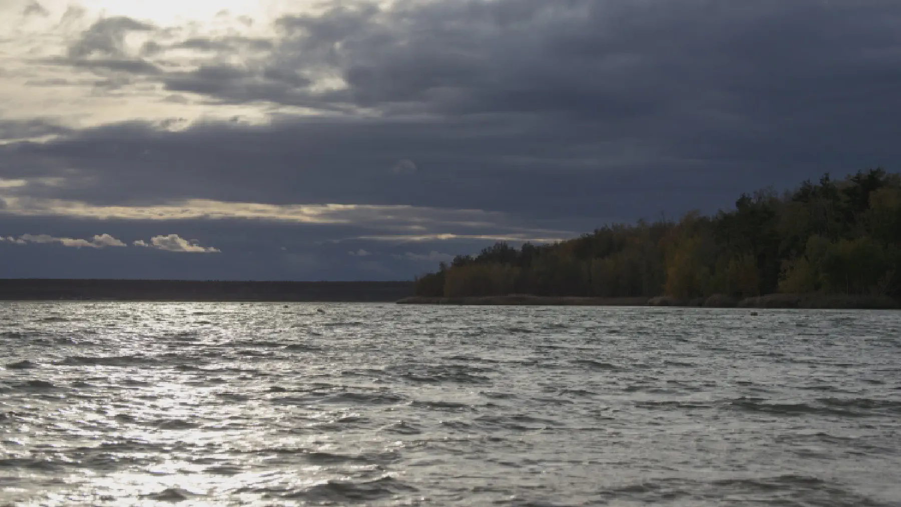 Galeriebild: 2023-12-31_partwitzer2.webp