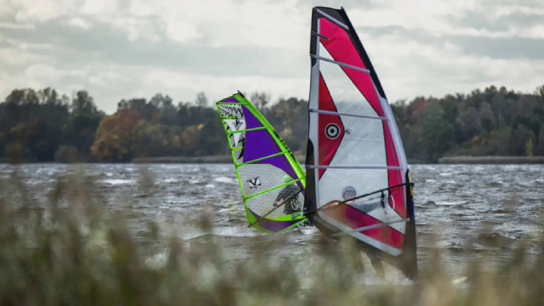 Galeriebild: sfb_02.webp